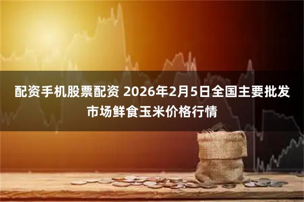 配资手机股票配资 2026年2月5日全国主要批发市场鲜食玉米价格行情