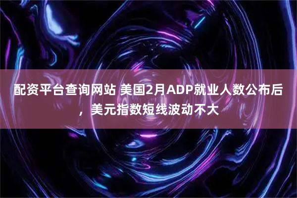 配资平台查询网站 美国2月ADP就业人数公布后，美元指数短线波动不大